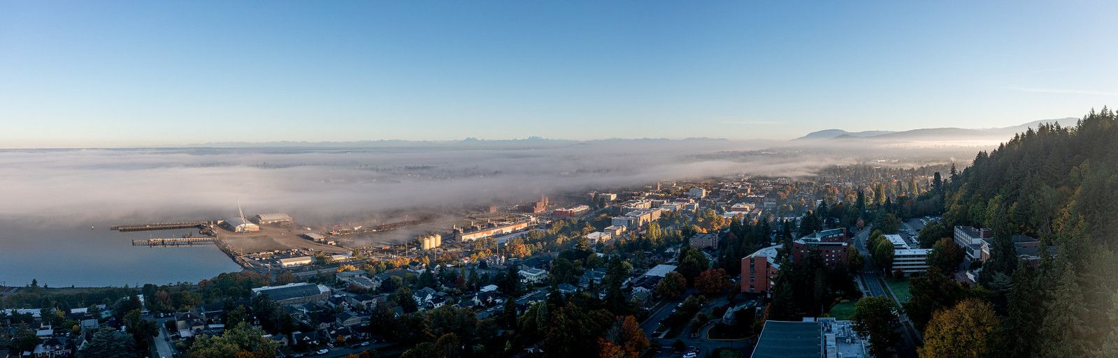 A misty Bellingham with fog enveloping buildings and trees, creating an atmospheric view.